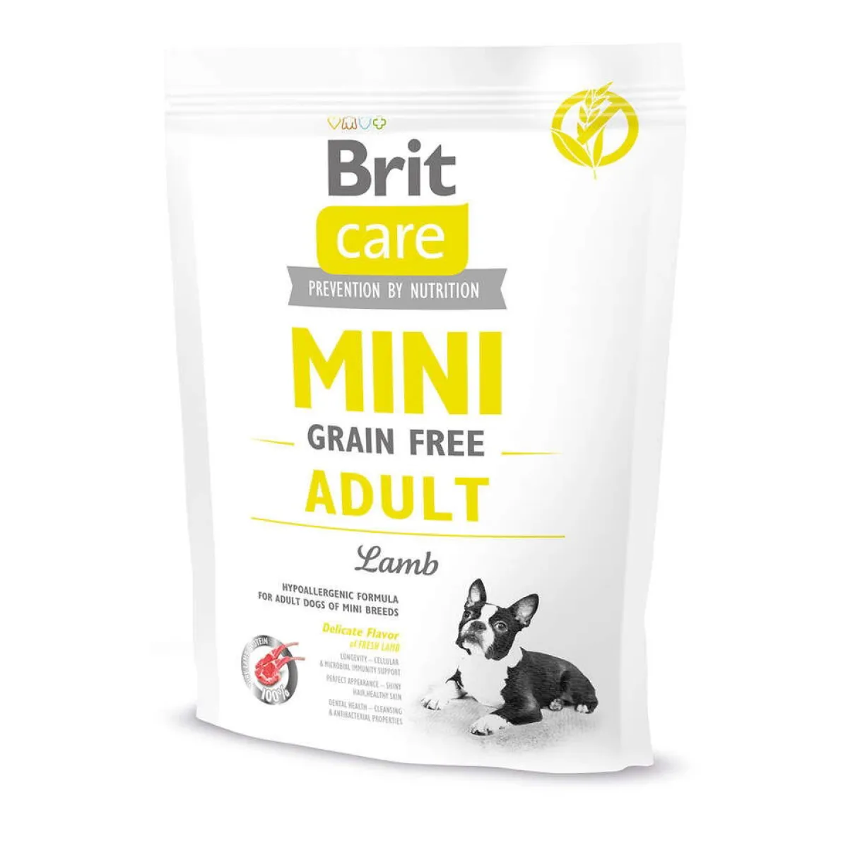 Mini GF Adult Lamb>Brit Care New