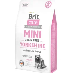 Mini GF Yorkshire>Brit Care Clearance
