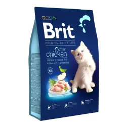 by Nature Cat kitten kana>Brit Premium Outlet