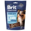 by Nature Dog Snacks Lamb&Sea buckthorn 180g>Brit Premium Online