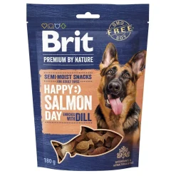 by Nature Koiranherkut Lohi & Tilli 180 g>Brit Premium Outlet