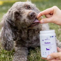 Care Calm 150 g>Buddy Discount