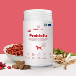 Care Probiotic 150 g>Buddy New