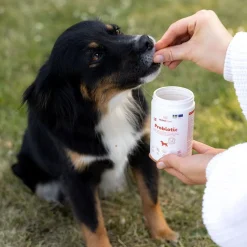 Care Probiotic 150 g>Buddy New