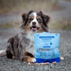 Freeze-dried kalkkuna & kala 100 g>Buddy Best