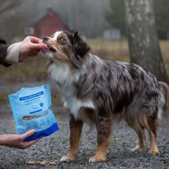 Freeze-dried kalkkuna & kala 100 g>Buddy Best
