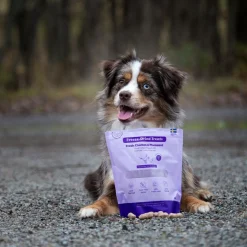 Freeze-dried kana & fasaani 100 g>Buddy Sale