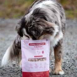 Freeze-dried kana 100 g>Buddy New