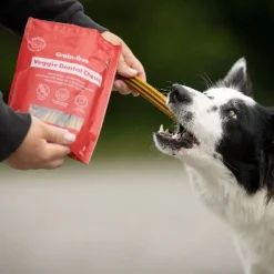 GF Veggie Dental Chew M>Buddy Discount