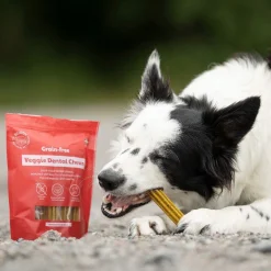 GF Veggie Dental Chew M>Buddy Discount