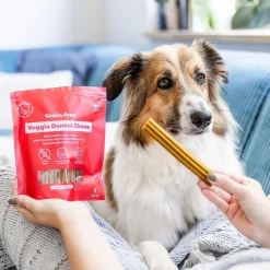 GF Veggie Dental Chew M>Buddy Discount