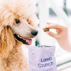 Lammasherkku koiralle 150g>Buddy Sale
