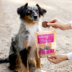 Peuraburgerherkku koiralle 100g>Buddy Discount