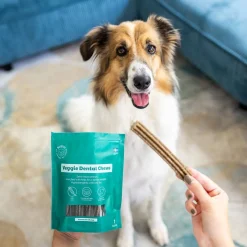 Veggie Dental Chew M>Buddy