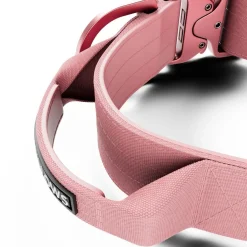 Combat Kahvapanta koiralle, pinkki 5 cm>BullyBillows Outlet