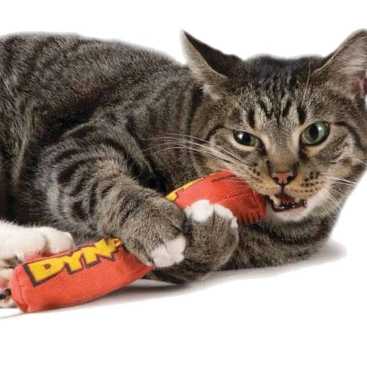 Green Magic Dynamite kissanlelu punainen>Catstages Sale