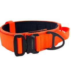panta, Rescue Orange>Cerberos Hot