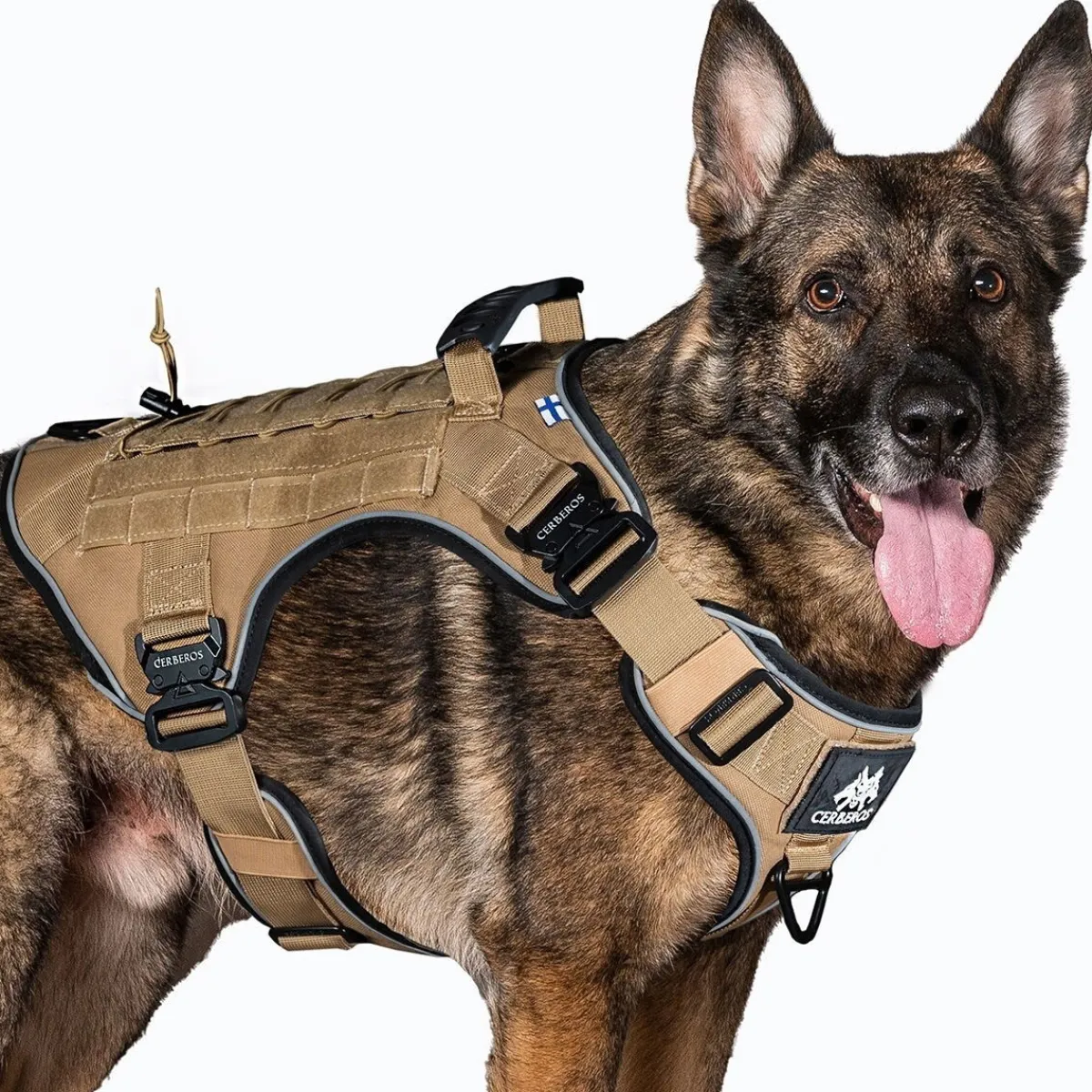 Tactical koiran valjaat, Desert Brown>Cerberos New