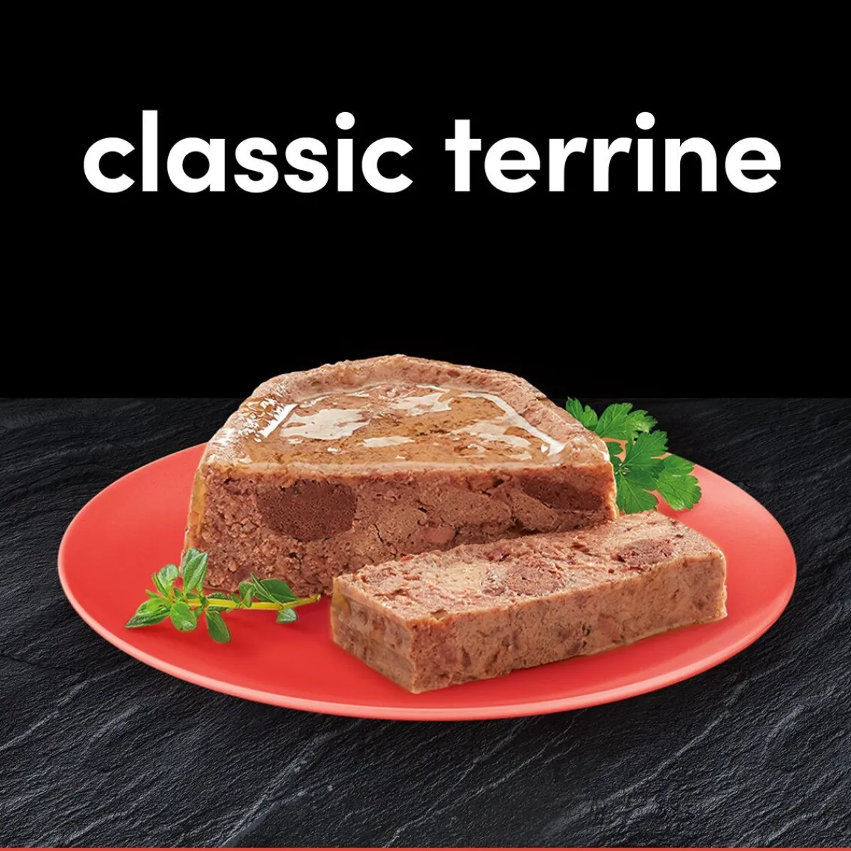 Classic Terrine Adult Loaf 24x150 g>Cesar Best