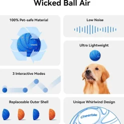 Wicked Ball Air>Cheerble Sale