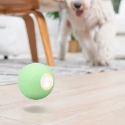 Wicked Ball PE>Cheerble Hot