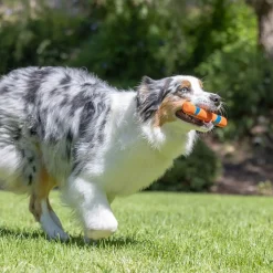 Ultra Fetch Stick>Chuckit Online