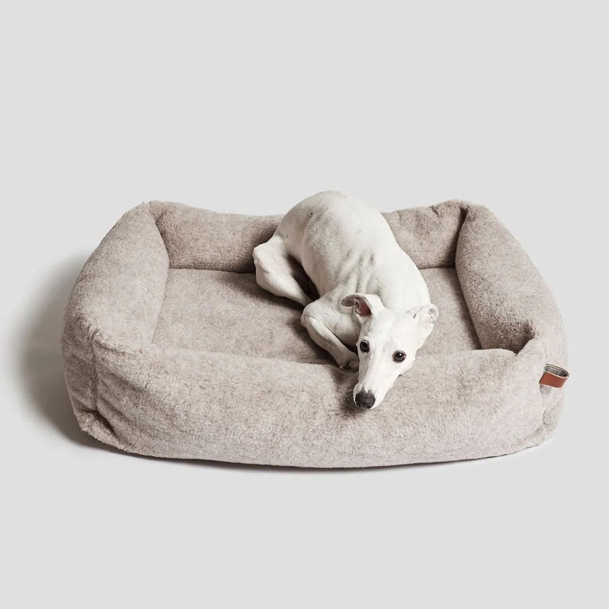koiranpeti sleepy Deluxe Teddy>Cloud7 New
