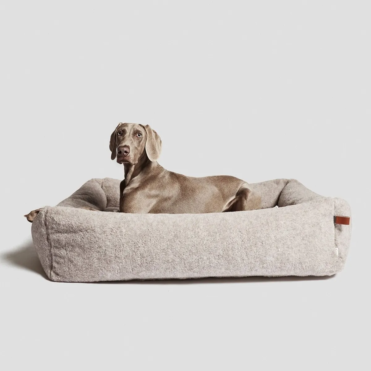 koiranpeti sleepy Deluxe Teddy>Cloud7 New