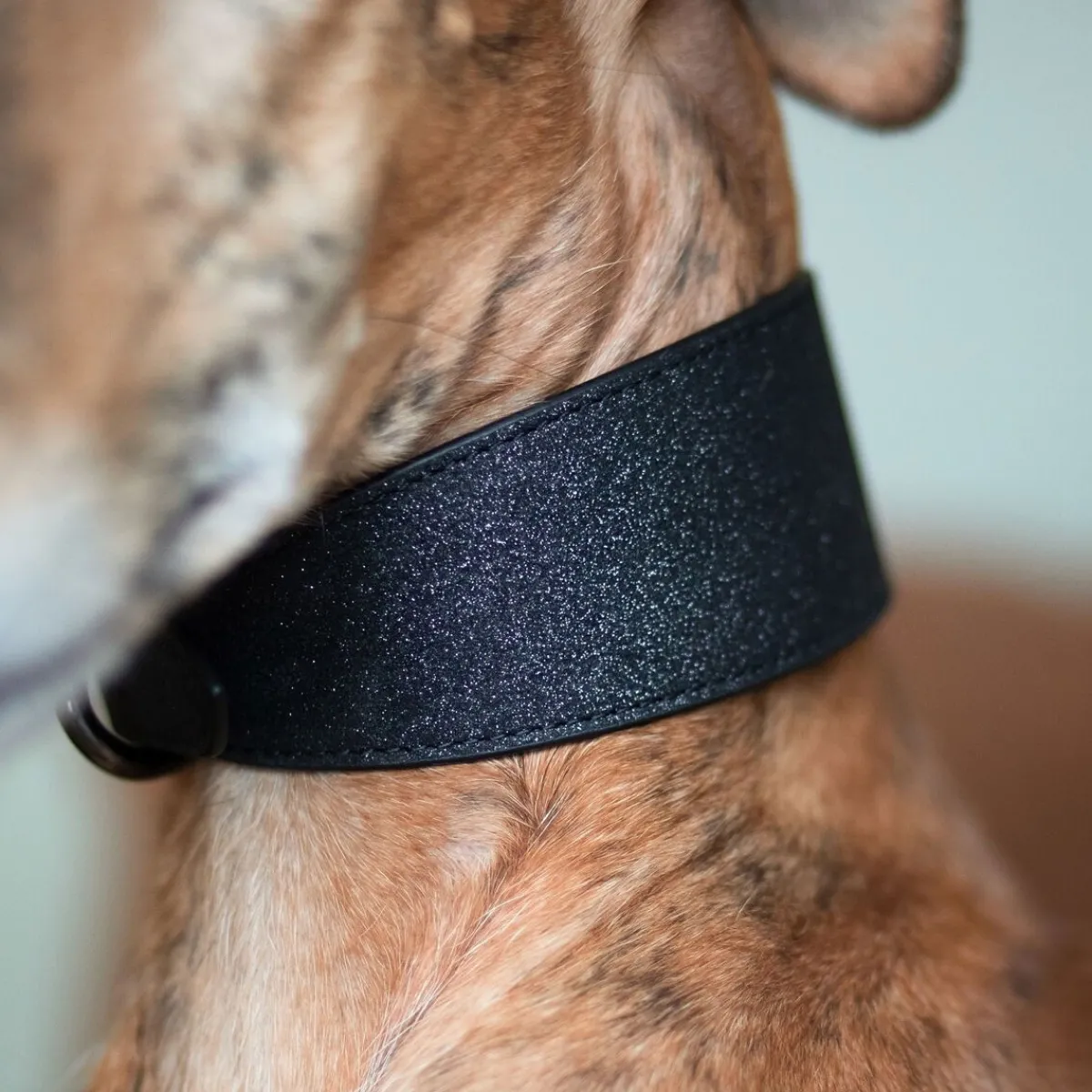 leveä solkipanta, musta glitter>Collar of Sweden Online