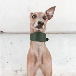 leveä solkipanta, tummanvihreä>Collar of Sweden Best