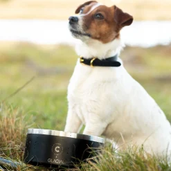 teräskuppi liukuesteellä>Collar of Sweden