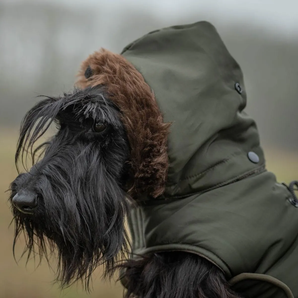 takki Inuit, khaki>51 Degrees North Clearance