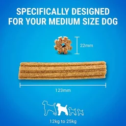Medium 24-pack>Dentalife Hot