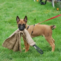 juuttirätti 65 cm>Dingo Gear Hot