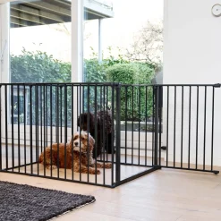 Max pentuaitaus musta>DogSpace Hot