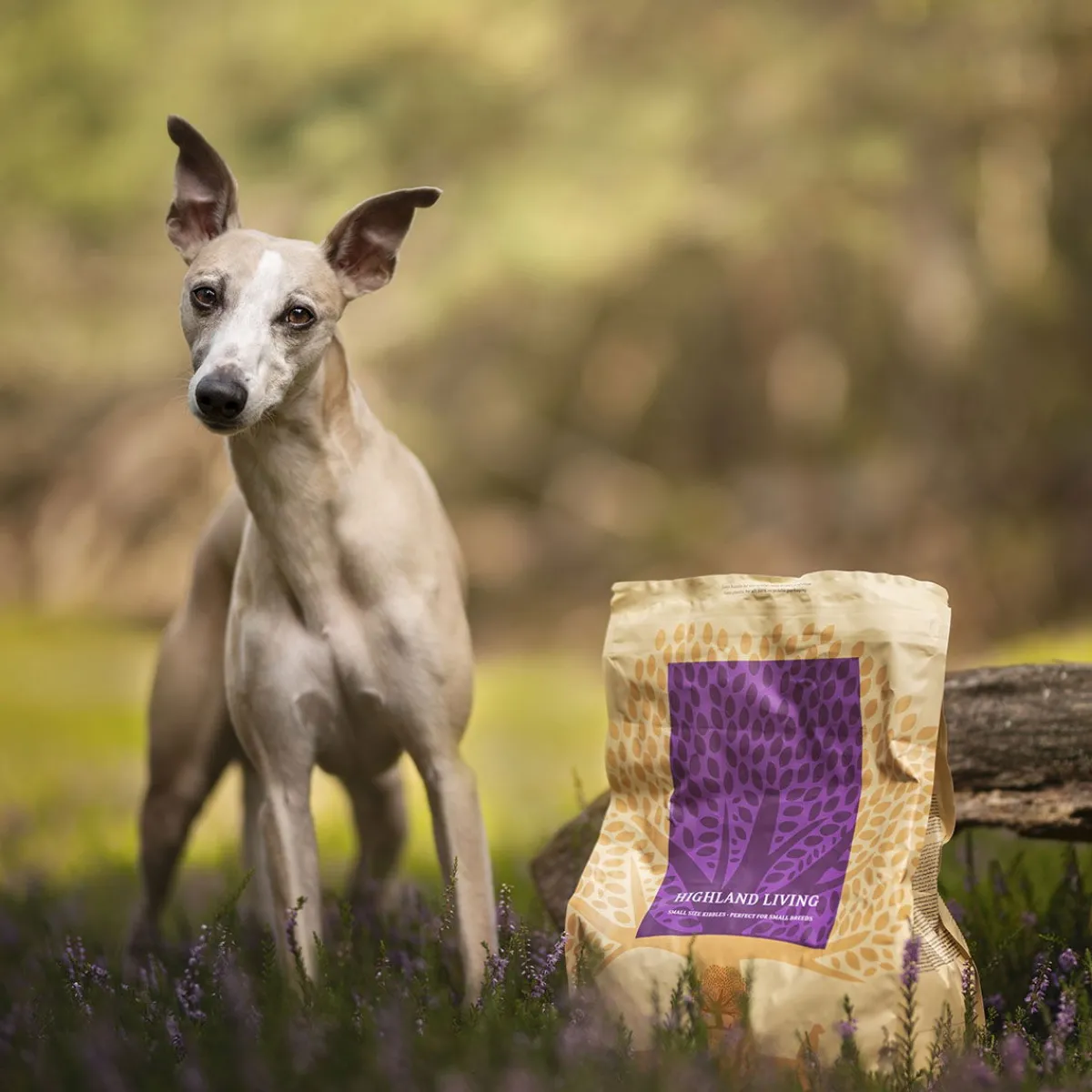 ESSENTIAL HIGHLAND LIVING SMALL BREED 2,5kg>Essential Foods Sale