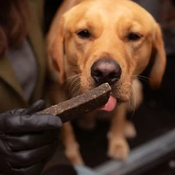 ESSENTIAL Lamb&Venison Bars 100g>Essential Foods New