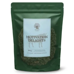 ESSENTIAL Motivation Delights 500g>Essential Foods Outlet