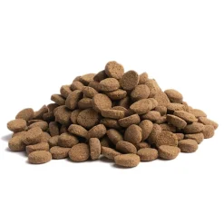 ESSENTIAL OLDER 10kg>Essential Foods Hot