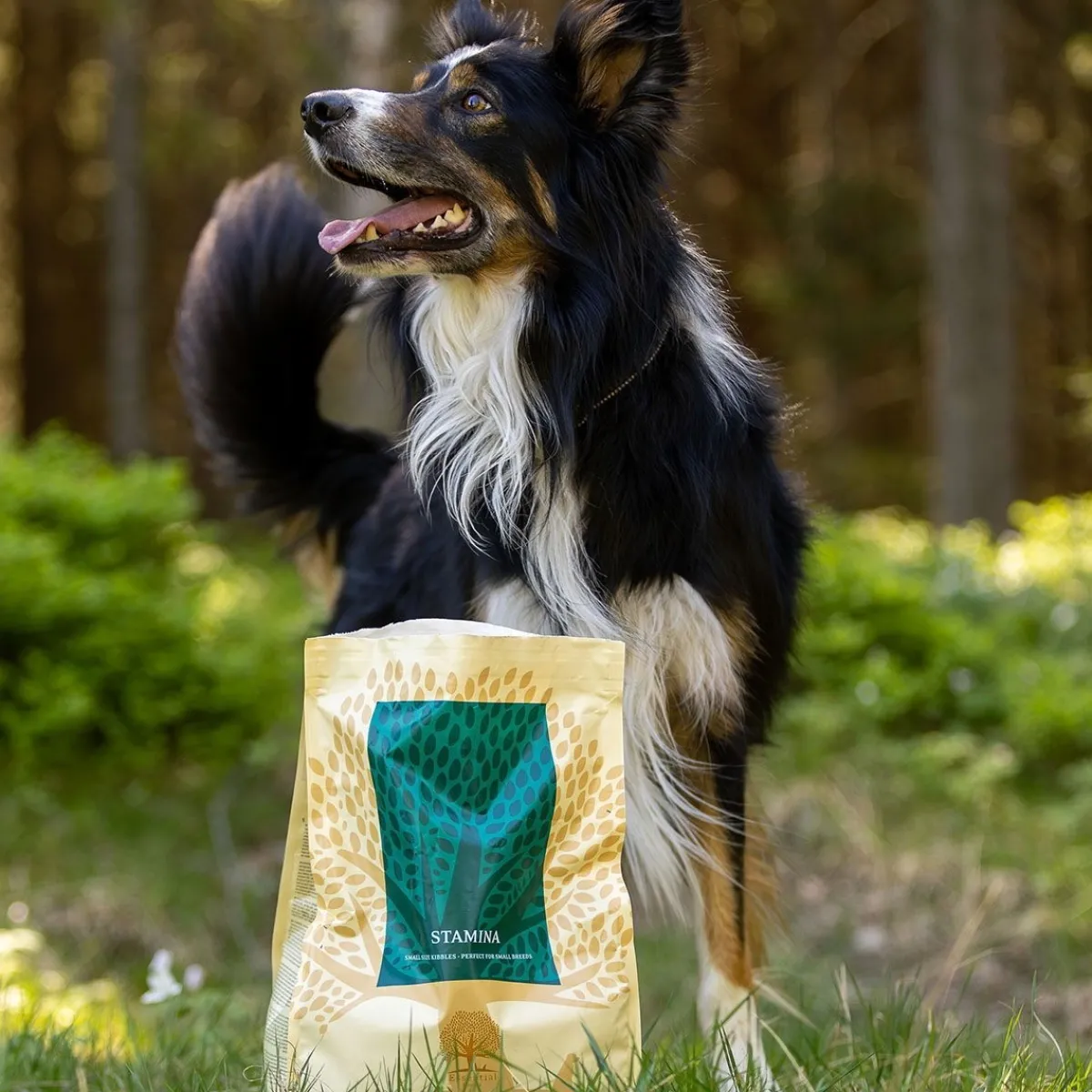 ESSENTIAL STAMINA SMALL BREED 2,5kg>Essential Foods Hot