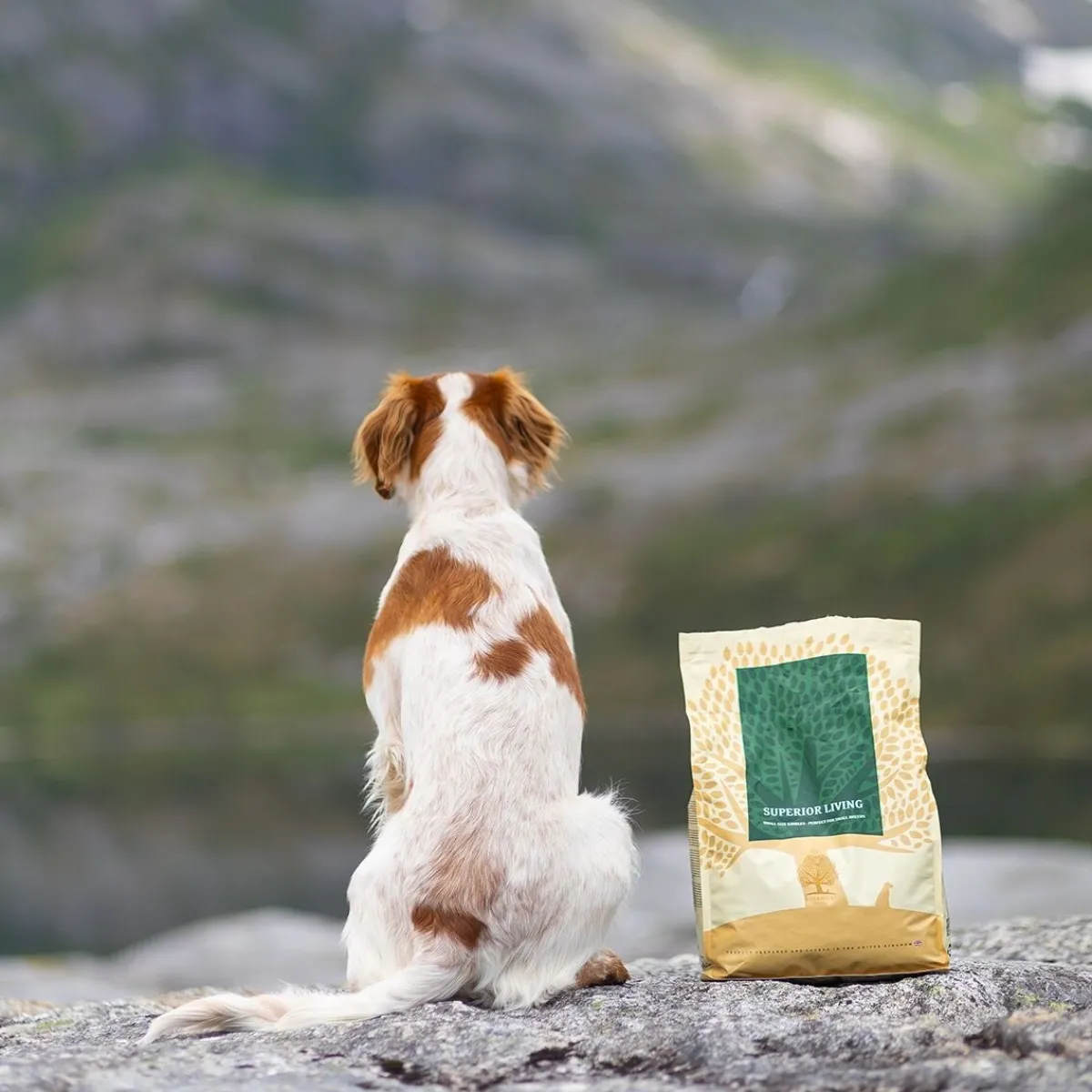 ESSENTIAL SUPERIOR LIVING 10kg>Essential Foods