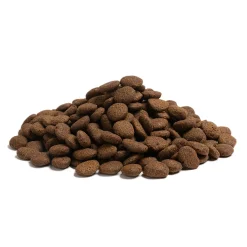 ESSENTIAL the BEGINNING Large Breed 10 kg>Essential Foods Best