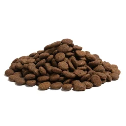 ESSENTIAL the BEGINNING Large Breed 10 kg>Essential Foods Best