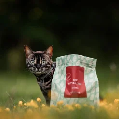 ESSENTIAL The LITTLE LION>Essential Foods New
