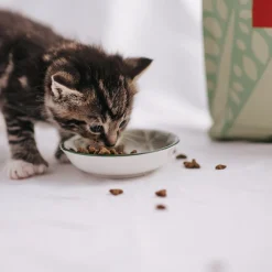 ESSENTIAL The LITTLE LION>Essential Foods New