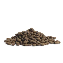 ESSENTIAL The PANTHER>Essential Foods Discount