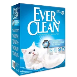 Extra Strong Unscented 4 x 10L>Ever Clean Best