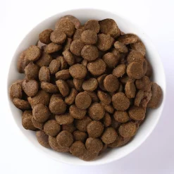 N&D Cat Spirulina & Herring Kitten 1,5 kg>Farmina Discount