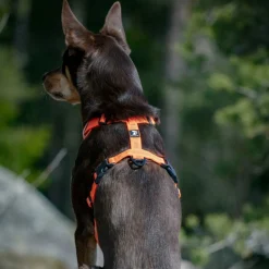 Reflective heijastinvaljas oranssi>Feel Active Sale
