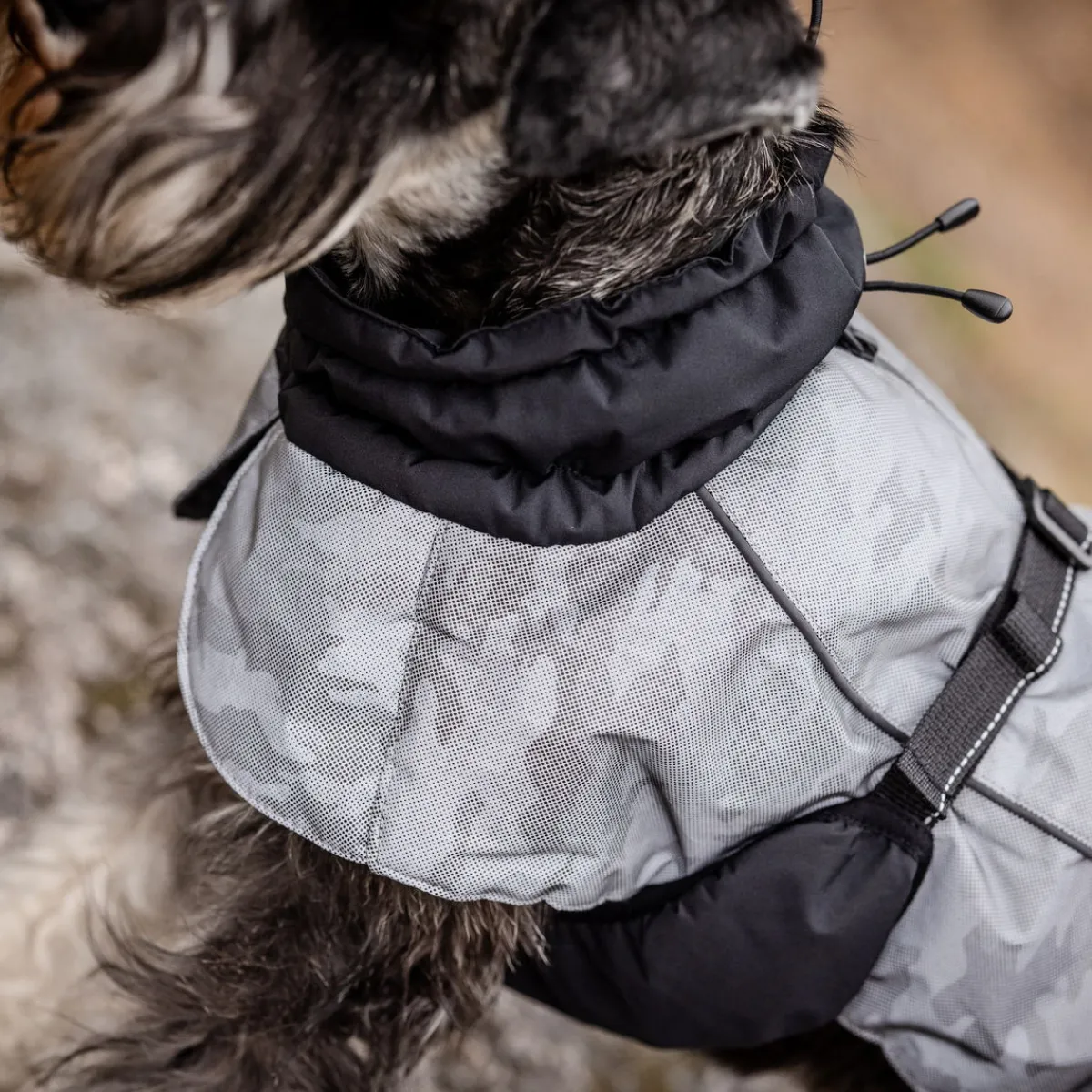 Reflective koiran talvitakki>Feel Active Outlet